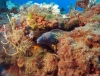 IMG_0043.jpg