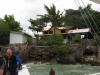 picture-0003.jpg