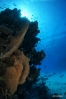 DSC00643.JPG