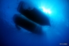DSC00916.JPG