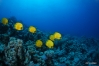 DSC01040.JPG