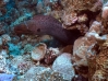 DSC01395.JPG