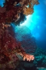 DSC01530.JPG