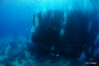 DSC00727.JPG