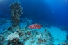 DSC00729.JPG