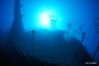 DSC01660-1.JPG