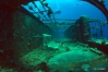 DSC01678.JPG