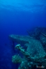DSC01683.JPG