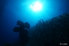 DSC01734-1.JPG