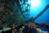 DSC01744-1.JPG