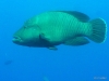 IMG_1043.JPG