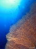 IMG_2165.JPG